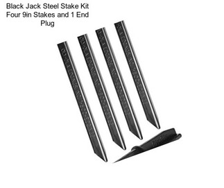 Black Jack Steel Stake Kit Four 9in Stakes and 1 End Plug