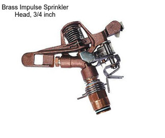 Brass Impulse Sprinkler Head, 3/4 inch