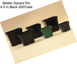 Belden Square Pot 4.5 In Black 450/Case