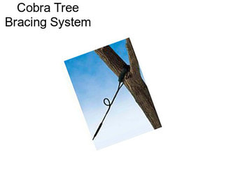 Cobra Tree Bracing System