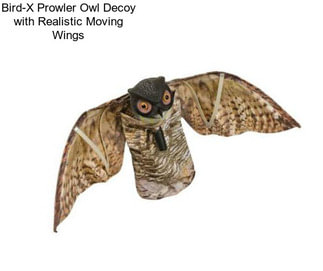 Bird-X Prowler Owl Decoy with Realistic Moving Wings