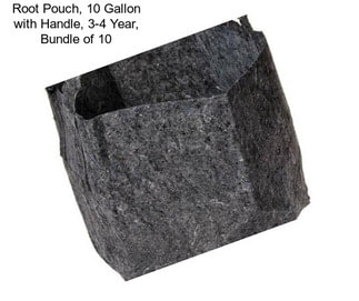 Root Pouch, 10 Gallon with Handle, 3-4 Year, Bundle of 10