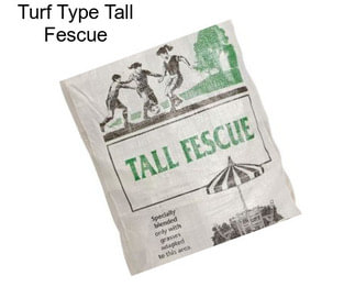 Turf Type Tall Fescue