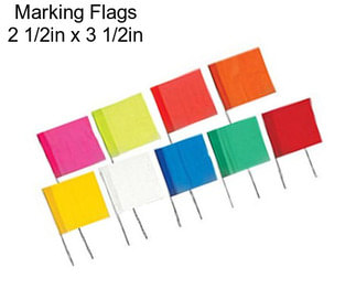 Marking Flags 2 1/2in x 3 1/2in