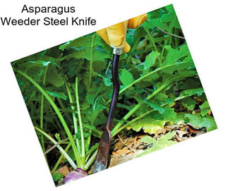 Asparagus Weeder Steel Knife