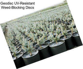 Geodisc UV-Resistant Weed-Blocking Discs