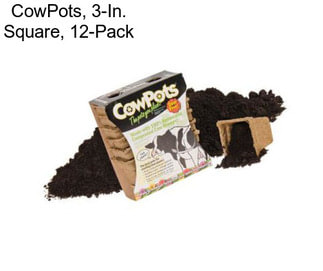 CowPots, 3-In. Square, 12-Pack