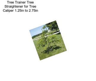 Tree Trainer Tree Straightener for Tree Caliper 1.25in to 2.75in