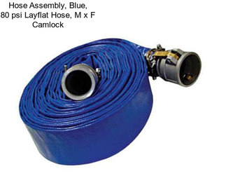 Hose Assembly, Blue, 80 psi Layflat Hose, M x F Camlock