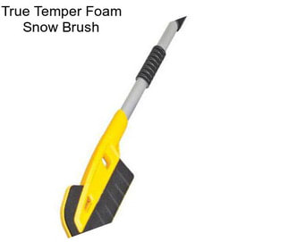 True Temper Foam Snow Brush