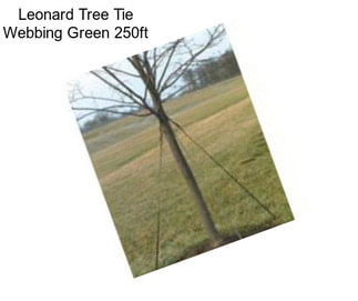Leonard Tree Tie Webbing Green 250ft