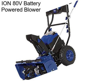 ION 80V Battery Powered Blower