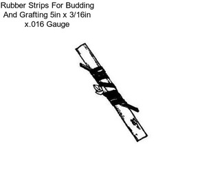 Rubber Strips For Budding And Grafting 5in x 3/16in x.016 Gauge