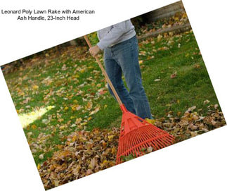 Leonard Poly Lawn Rake with American Ash Handle, 23-Inch Head