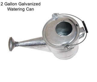 2 Gallon Galvanized Watering Can