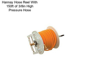 Hannay Hose Reel With 150ft of 3/8in High Pressure Hose