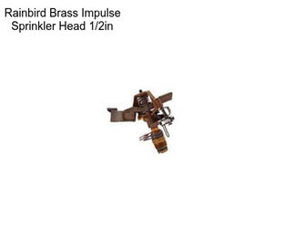 Rainbird Brass Impulse Sprinkler Head 1/2in