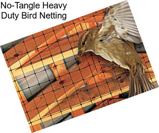 No-Tangle Heavy Duty Bird Netting