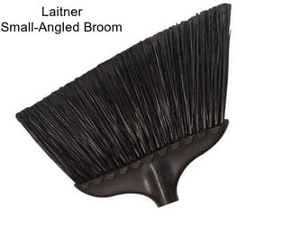 Laitner Small-Angled Broom