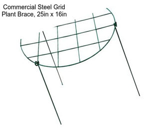 Commercial Steel Grid Plant Brace, 25in x 16in