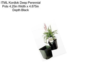 ITML Kordlok Deep Perennial Pots 4.25in Width x 4.875in Depth Black