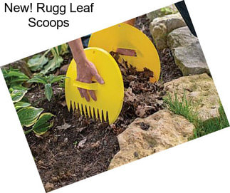 New! Rugg Leaf Scoops