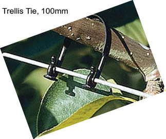 Trellis Tie, 100mm