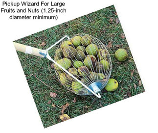 Pickup Wizard For Large Fruits and Nuts (1.25-inch diameter minimum)