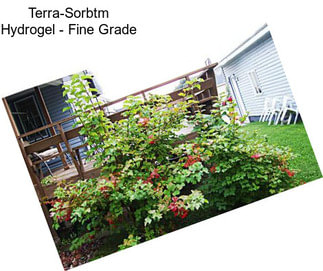 Terra-Sorbtm Hydrogel - Fine Grade