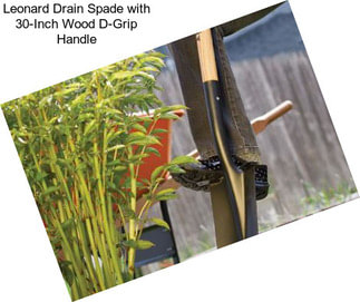 Leonard Drain Spade with 30-Inch Wood D-Grip Handle