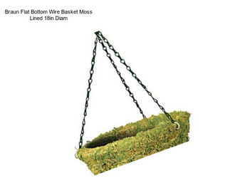 Braun Flat Bottom Wire Basket Moss Lined 18in Diam