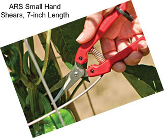 ARS Small Hand Shears, 7-inch Length