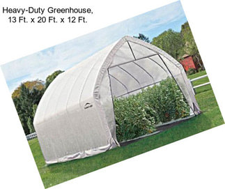 Heavy-Duty Greenhouse, 13 Ft. x 20 Ft. x 12 Ft.