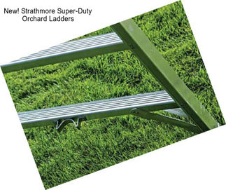 New! Strathmore Super-Duty Orchard Ladders
