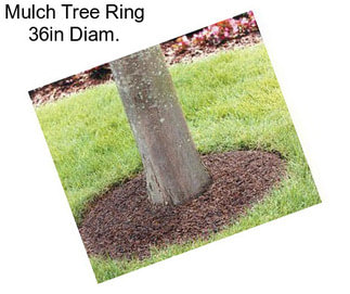 Mulch Tree Ring 36in Diam.