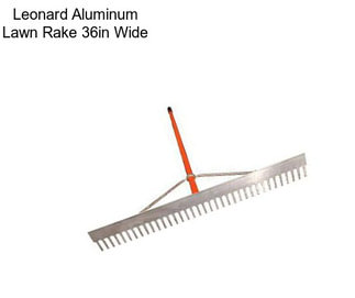 Leonard Aluminum Lawn Rake 36in Wide