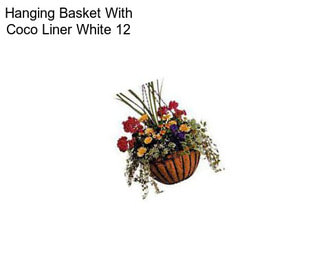 Hanging Basket With Coco Liner White 12