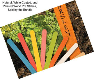 Natural, White Coated, and Painted Wood Pot Stakes, Sold by the Bundle