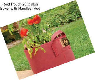 Root Pouch 20 Gallon Boxer with Handles, Red