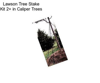 Lawson Tree Stake Kit 2+ in Caliper Trees