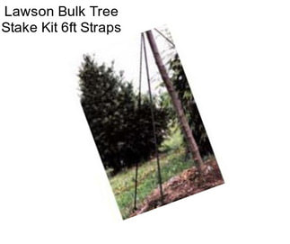 Lawson Bulk Tree Stake Kit 6ft Straps