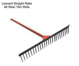 Leonard Straight Rake All Steel 18in Wide