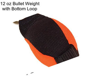 12 oz Bullet Weight with Bottom Loop