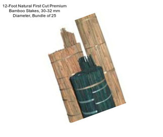 12-Foot Natural First Cut Premium Bamboo Stakes, 30-32 mm Diameter, Bundle of 25