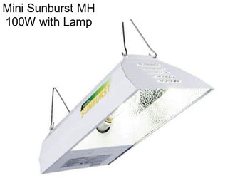 Mini Sunburst MH 100W with Lamp