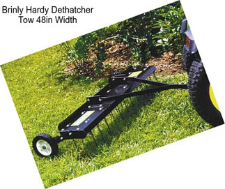 Brinly Hardy Dethatcher Tow 48in Width