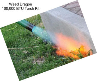 Weed Dragon 100,000 BTU Torch Kit