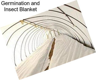 Germination and Insect Blanket