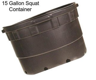 15 Gallon Squat Container