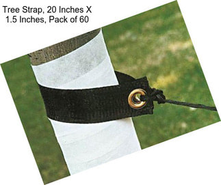 Tree Strap, 20 Inches X 1.5 Inches, Pack of 60